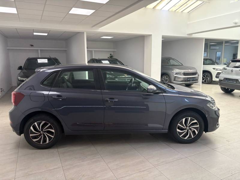 POLO EXPORT ALGÉRIE 